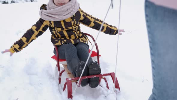 Mother and Daughter with Sleigh