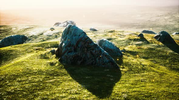 Alpine Meadow with Rocks and Green Grass