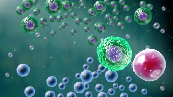 cells destroy the virus 3d medical