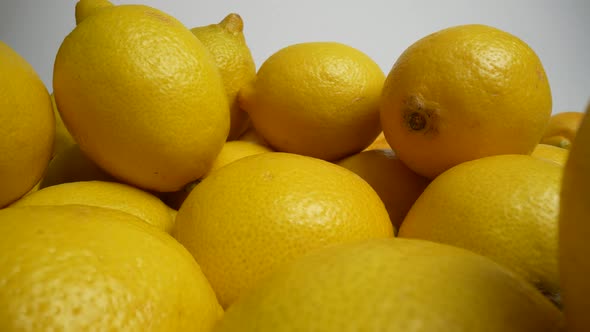 Yellow Lemons 46