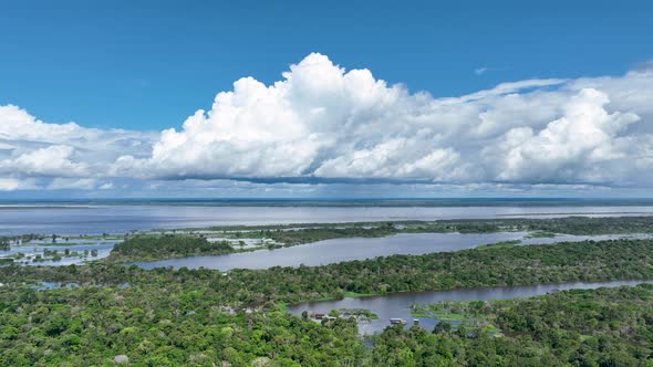 Stunning landscape of Amazon Forest at Amazonas State Brazil.