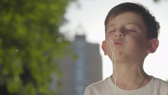 Portrait of the Carefree Boy Blowing Soap Bubbles and Smiling at the Camera in the Park