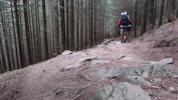 Tourist with a Backpack Goes Down the Stone Mountain Trail in the Forest