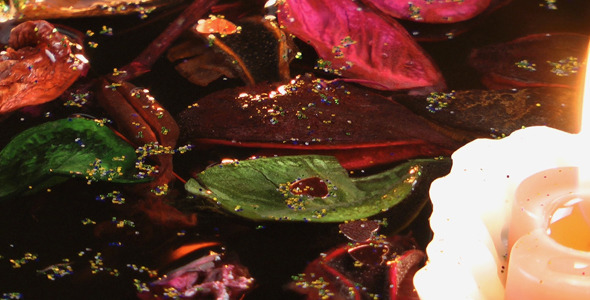 Candles and Dry Leaves on the Water 1 alt