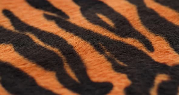 Tiger Fur Fabric Closeup