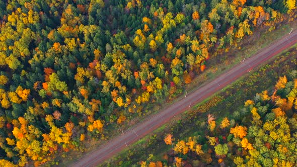 Colorful Autumn Forest Through Which the Railway Passes Aerial View