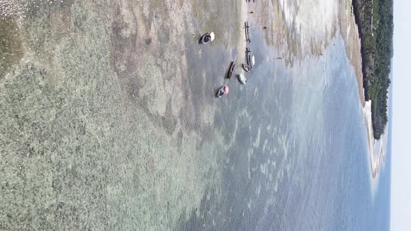 Zanzibar Tanzania  Vertical Video of Low Tide in the Ocean Near the Coast Slow Motion