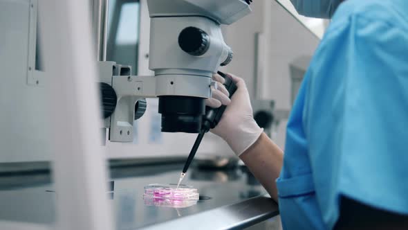 Liquids Are Being Observed Under a Microscope By the Medical Lab Worker