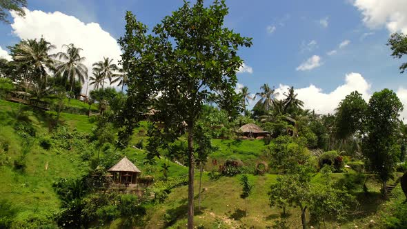 magical hilltop of bamboo huts in Bali on a sunny day with coconut trees, aerial