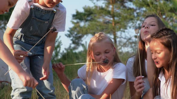 A Group of Children Fry Marshmallows By the Fire They Have Fun at a Summer Camp for Children