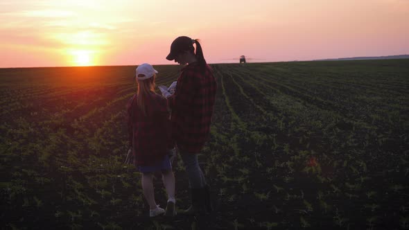 Family Farmers Work in the Field, Look at the Digital Tablet Against the Background of the Tractor