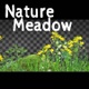 Nature Meadow - VideoHive Item for Sale