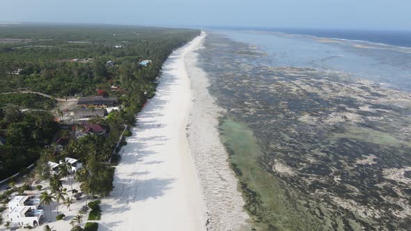 Low Tide in the Ocean Near the Coast of Zanzibar Island Tanzania