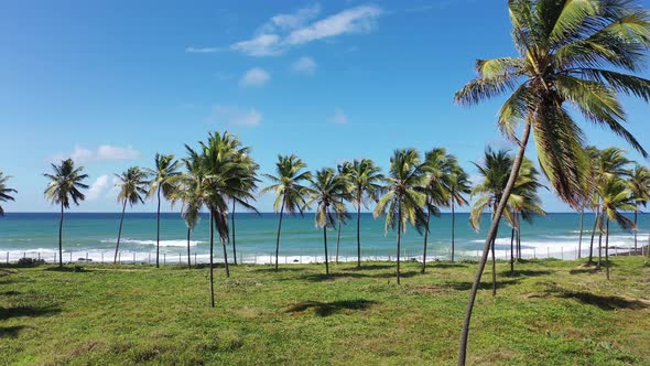 Tropical travel destinations at brazilian northeast. Salvador Bahia Brazil.