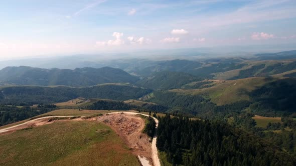 Mountain Valley Pine Forest