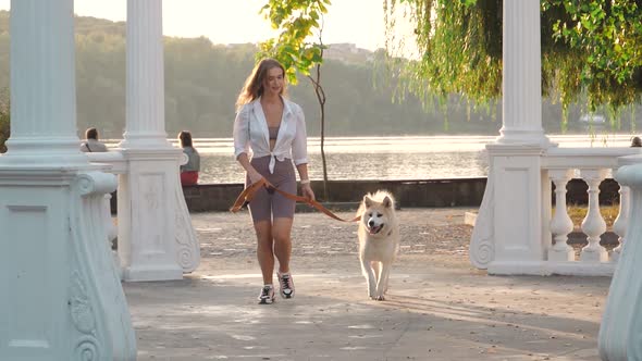 Young woman walking her cute Akita Inu dog in park on sunny day. Lovely pet