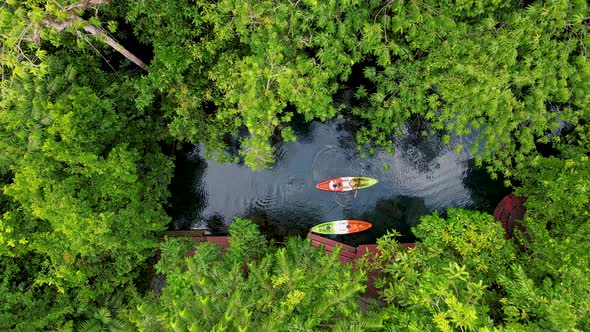 Couple in a Kayak in the Jungle of Krabi Thailand Men and Woman in Kayak at a Tropical Mangrove in