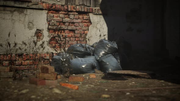 Ruins of a Very Heavily Polluted Industrial Factory alt