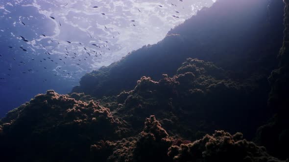 Underwater shot of an underwater cliff and waves crushing on rocks in mediterranean sea. Shot in slo