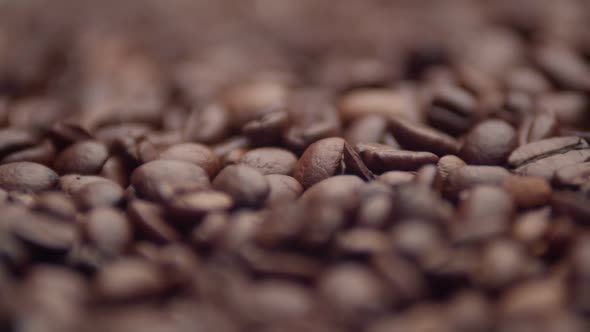 Brown Coffee Beans Macro Photography