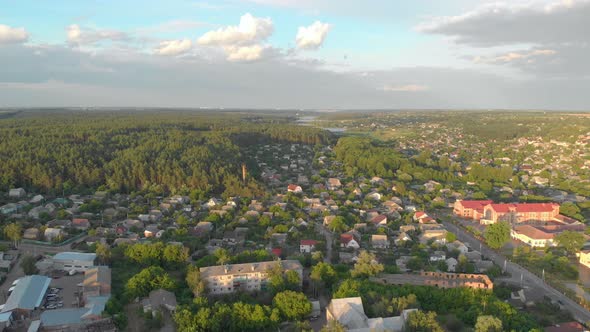 Suburb And Forest