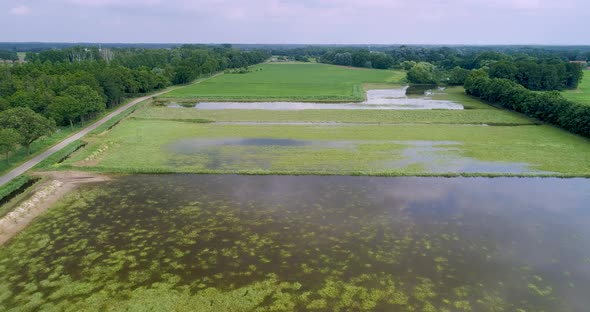 Aerial view of flooded floodplains of river Maas with trees, Megen, Netherlands.