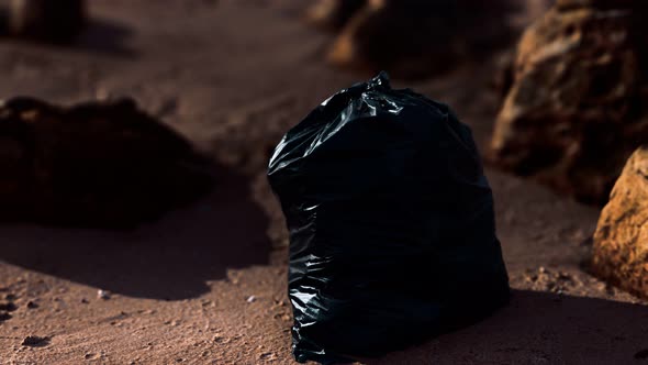 Black Plastic Garbage Bags Full of Trash on the Beach