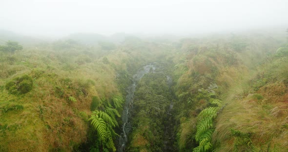 Amazing Panorama of a Waterfall Within Lush Green and Yellow Vegetation