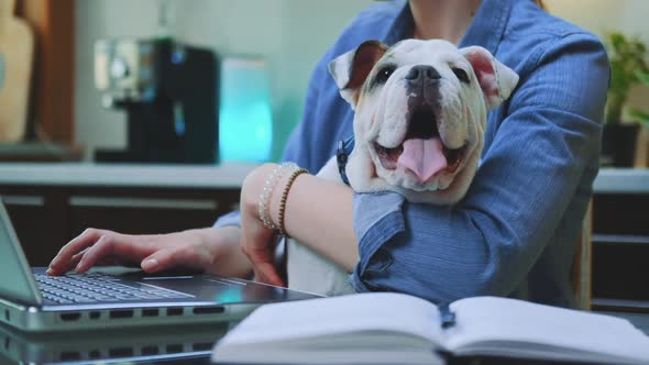 Woman's Hands Typing on the Computer and Holding a Small Bulldog