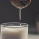 Dipping A Chocolate Chip Cookie In Milk. Slow Motion - VideoHive Item for Sale