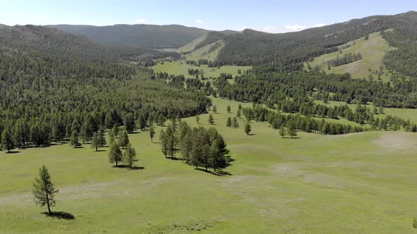 Green Meadows in The Sparsely Wooded Between Forest Covered Hills with Aerial View