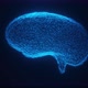 Low Polygonal Brains 4 K - VideoHive Item for Sale