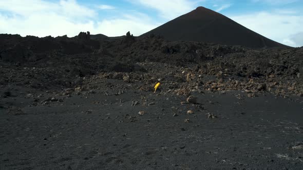 Man Traveler Walks Through the Lava Field Around Chinyero Volcano in the Teide National Park on the