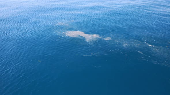 Water pollution in blue ocean
