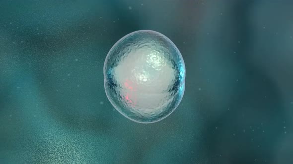 Cell Division or Cloning Cells