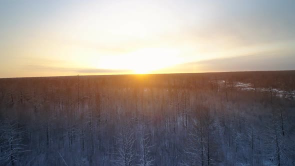 Flying Over the Snow-covered Tundra