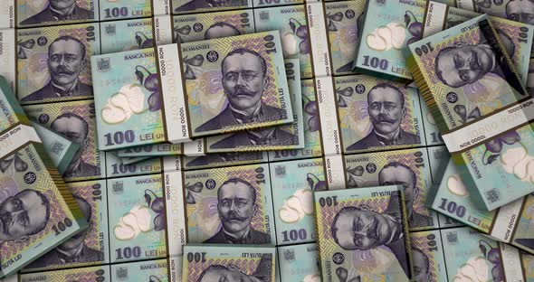 Romanian Lei money banknotes packs surface
