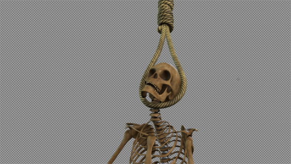 Skeleton Hanging in Gallows Rope