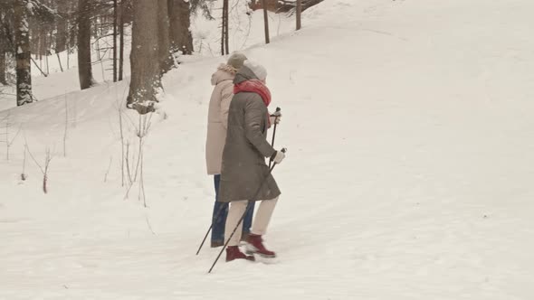 Couple Doing Nordic Walking in Winter alt