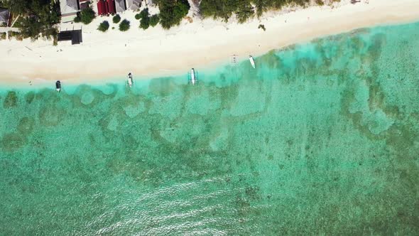 Aerial above texture of idyllic shore beach wildlife by blue ocean and white sandy background of a d