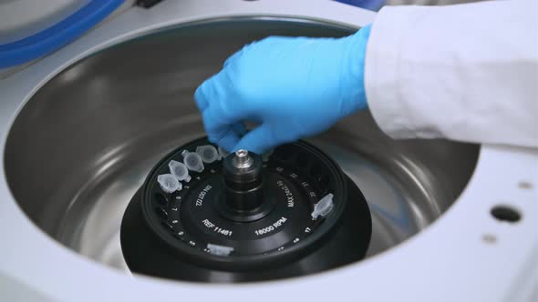 Scientist Puts Microcentrifuge Tubes Into Centrifuge for Phase Separation