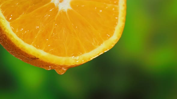 Drop Falling From Orange Slice on Nature Background