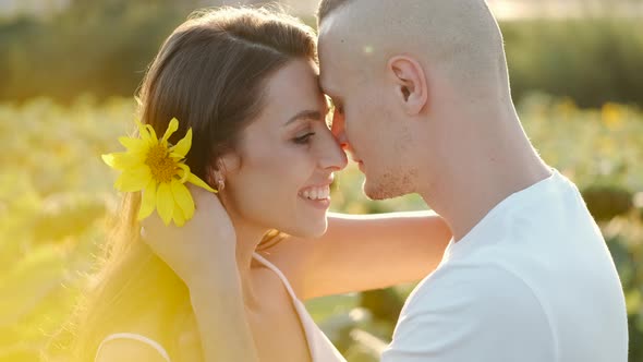 Romantic Man Kissing Girlfriend with Sunflower in the Field on Sunset