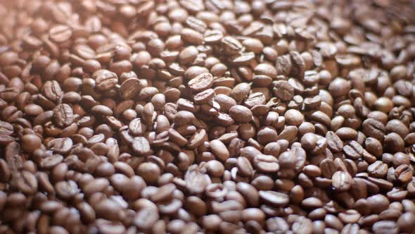 Closeup of Light Roasted Organic Coffee Beans