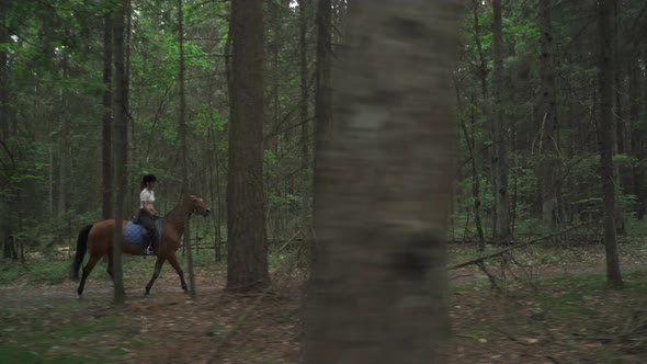 Young Female on Horseback Riding in the Forest, Summertime, Horsewoman Ride on a Horse, View Through