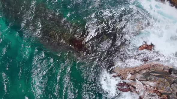 Overhead aerial shot of ocean waves. The bottom and the sea turtle are visible (Kauai, Hawaii, USA)