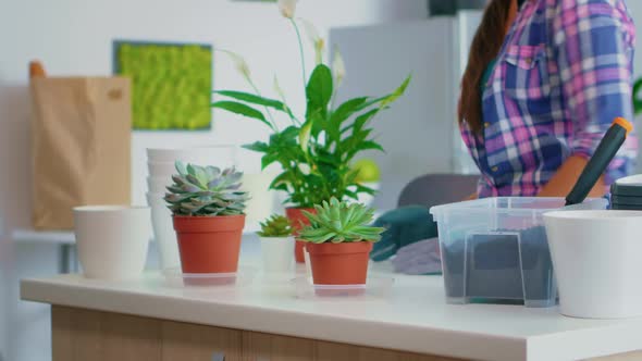 Preparing Flowers for Replanting