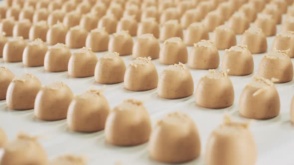 Rows of Fresh Sweets Are Being Transported By the Conveyor