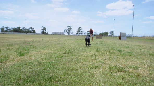 Trainer training the dog in the field