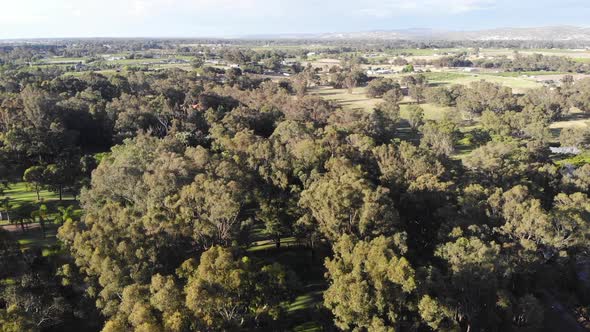 Aerial view of a Forest in Australia